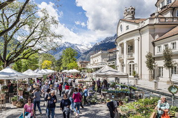 Der Frhlings-Pflanzenmarkt in Meran entlang der Kurpromenade