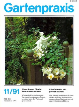 Cover Gartenpraxis 11/1991