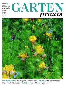 Cover Gartenpraxis 05/1998