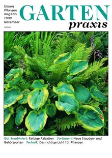 Cover Gartenpraxis 11/1998