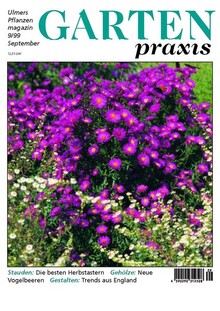 Cover Gartenpraxis 09/1999