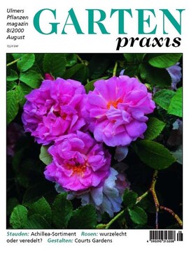Cover Gartenpraxis 08/2000
