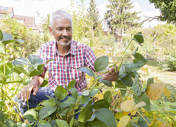  Dr. Volker Hahn forscht an Soja aus heimischem Anbau.