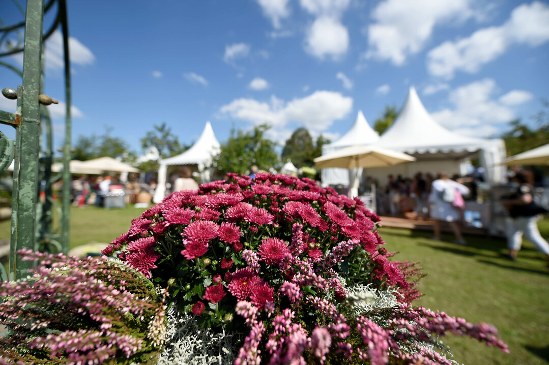 Pflanzenpracht beim Frstlichen Gartenfest
