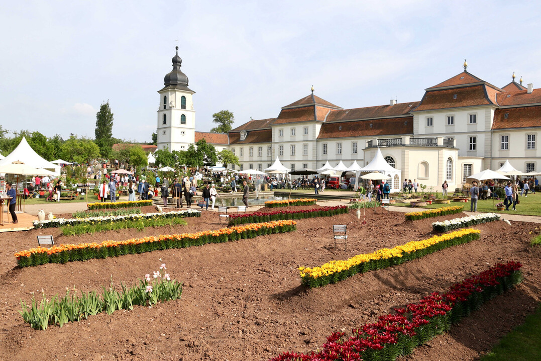 "Lilienacker" hieß der letztjährige Schaugarten auf dem Fürstlichen Gartenfest in Eichenzell, dieses Jahr wird es "Sherlock Holmes und der geheime Garten der Bloomsbury Group".