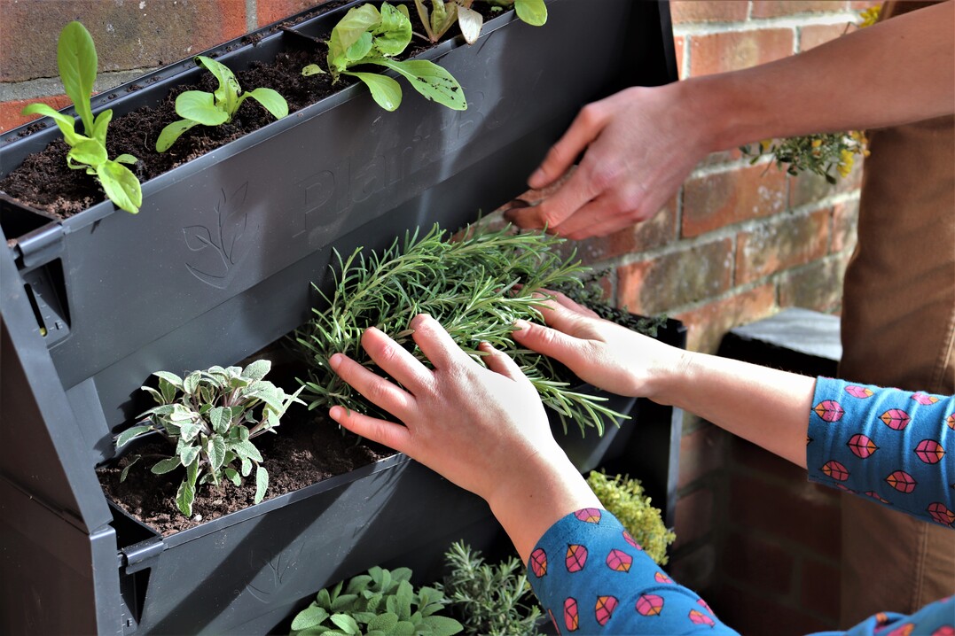   Ein besonderes Substrat wird fr die PlantBox nicht bentigt. Das Stapelsystem wird mit handelsblicher, strukturstabiler Kbelpflanzenende bestckt und anschlieend bepflanzt.