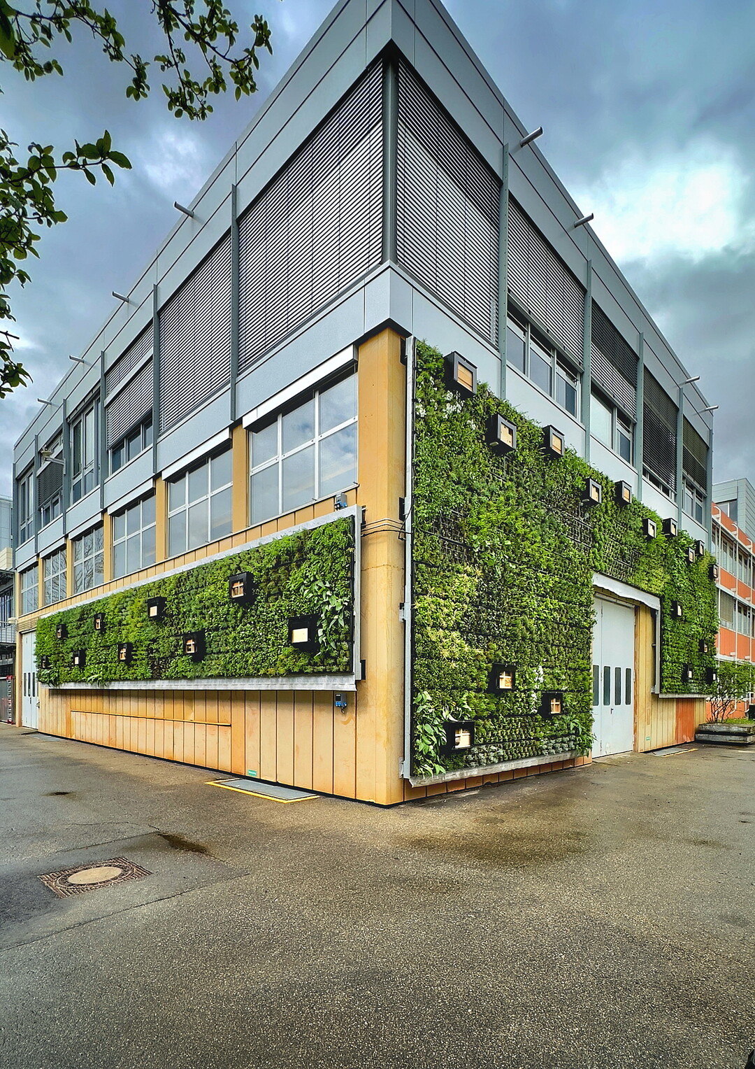 Zum Einsatz am Fraunhofer-Institut kamen die beiden Grnfassadensysteme des Herstellers Helix aus Kornwestheim.