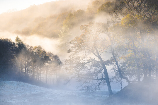 In der Kategorie "Trees, Woods, & Forests" kam von Drew Buckley das Foto "Fire & Ice" auf Platz eins. Es zeigt eine frostige und neblige Herbstdmmerung am Fluss Brathay im Lake-District-Nationalpark in Cumbria - der Park gehrt zum UNESCO-Welterbe.