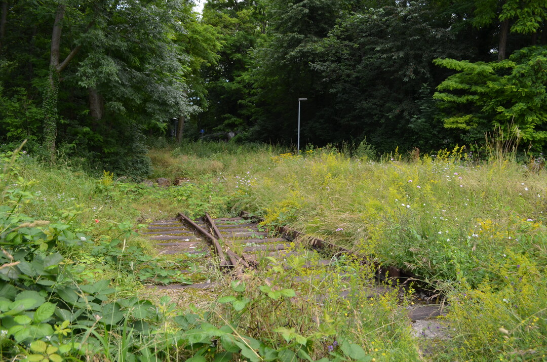 Ein berrest der ersten elektrischen Industriebahn Baden-Wrttembergs wird von Trockenrasen umgeben.