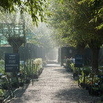 Im 1. Halbjahr 2022 gibt es verschiedene Themenwochenenden in der Gärtnerei De Kleine Plantage.