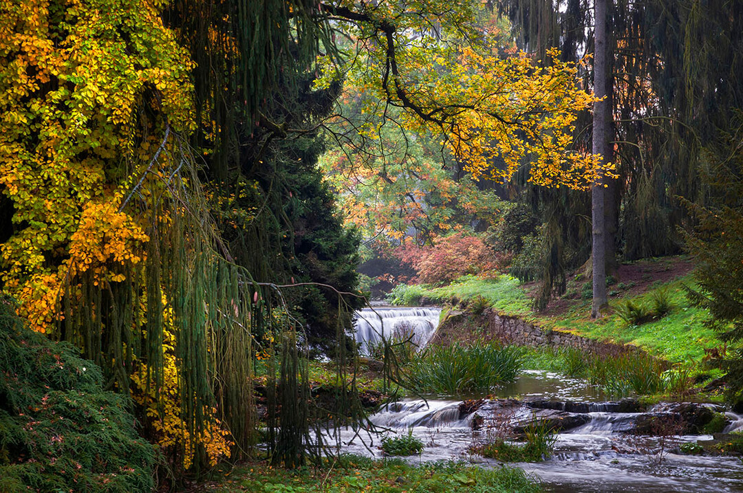 
Golden Influence of Autumn von Evgeniya Vlasova, fotografiert im Pruhonice Park, Prag, Tschechien