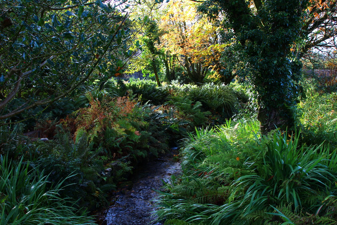 Der Farngarten war typisch f�r viktorianische G�rten.