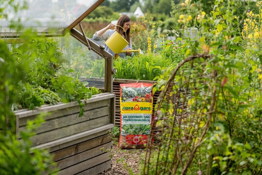  Torffrei und vegan - Hochbeet- und Gewchshauserde von Floragard 