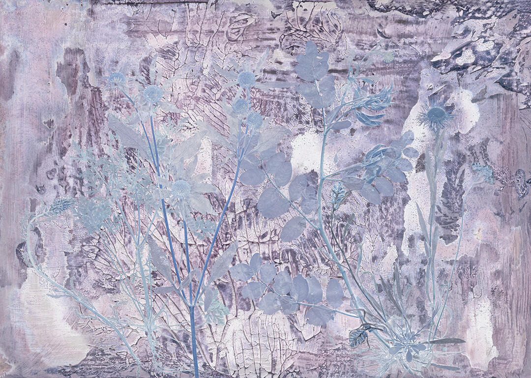 Martin Bergstrm: Tapetenkollektion Flora Hysterica.