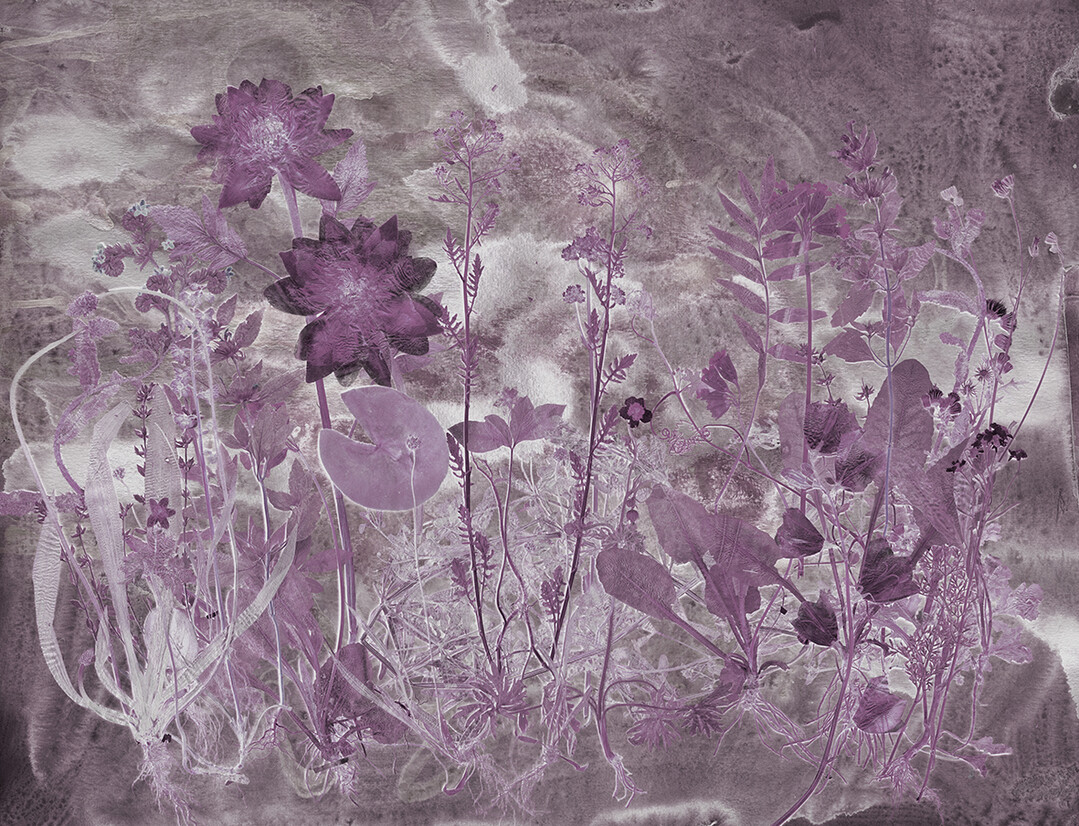 Martin Bergstrm: Tapetenkollektion Flora Hysterica.