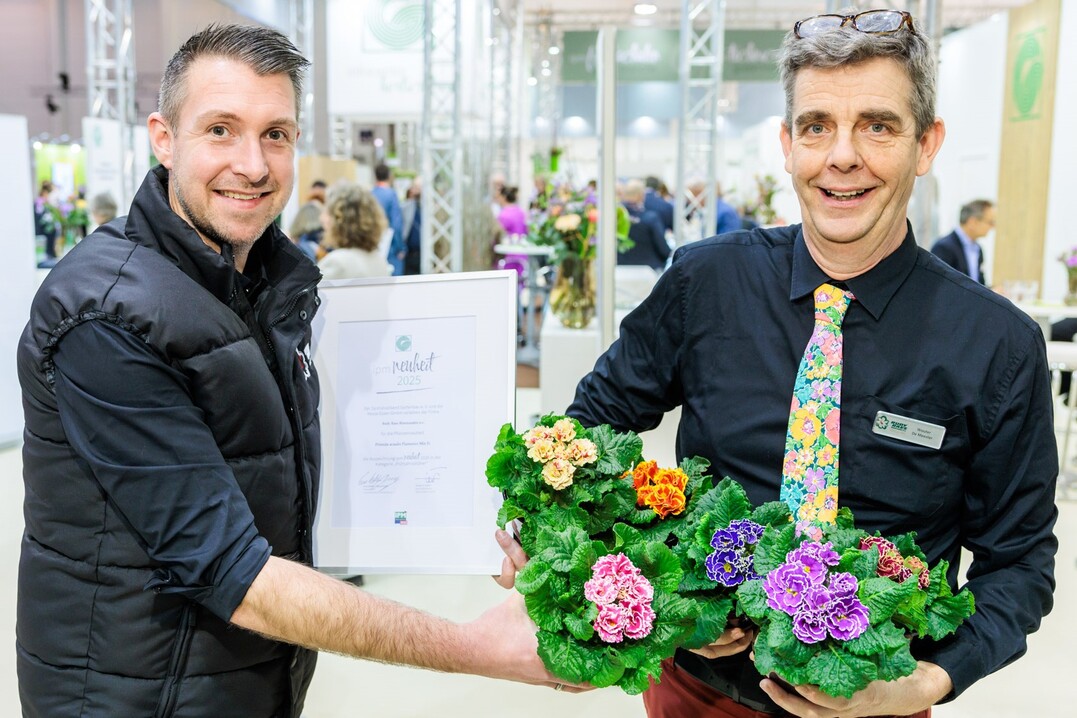In der Kategorie Frhjahrsblher entschied sich die Expertenkommission fr Primula acaulis Flamenco Mix F1 der Firma Rudy Raes Bloemzaden n.v. aus Destelbergen in Belgien.