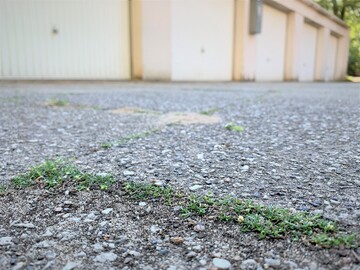 Nur mit alternativen Methoden gegen Wildwuchs auf Nichtkulturflchen!