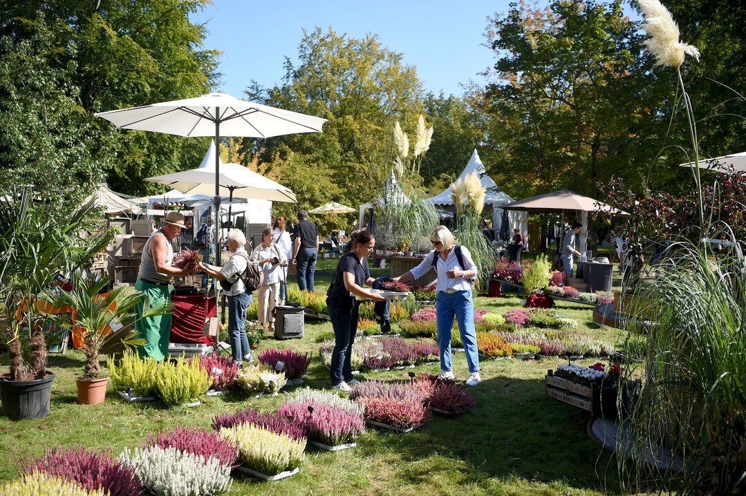 Pflanzenverkauf beim Fürstlichen Gartenfest<br>