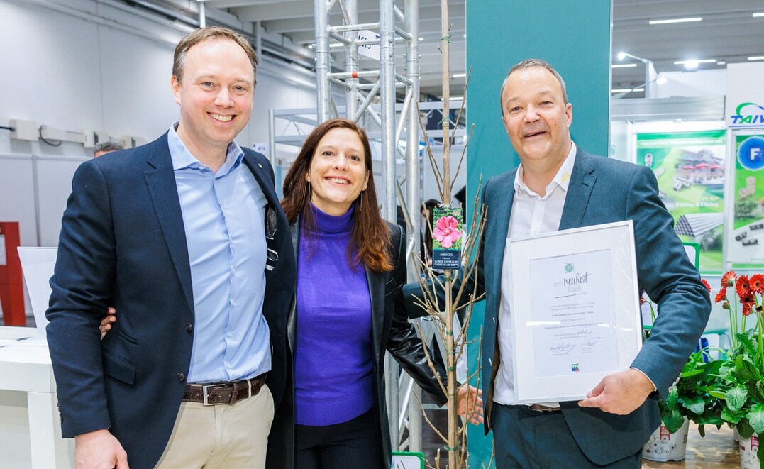 In der Kategorie Gehlze entschied sich die Expertenkommission fr Cornus kousa Flower Tower der Firma Diderk Heinje Pflanzenhandelsg.mbH & Co. KG aus Edewecht als IPM Neuheit 2025.