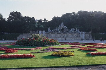 In der zweiten Hlfte des 19.Jahrhunderts entwarf man gern ganze Parterres, die mit Beeten aus je nur ein bis zwei Arten geschmckt waren, so der Wiener Hofgrtner Anton Umlauft kurz vor 1900 das neobarocke Blumenparterre in Wien-Schnbrunn (Foto 2005).
