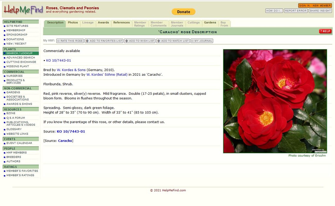 Hilfreiche Datenbank für Rosen, Pfingstrosen und Clematis