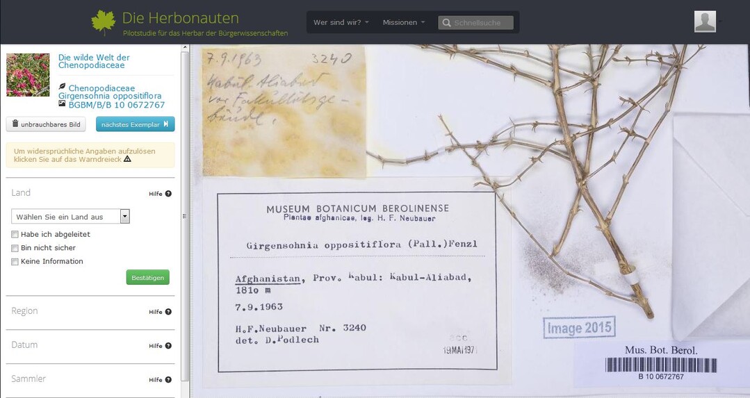 Knnen Sie den Fundort nennen, aus dem dieses Exemplar stammt? Dann sind Sie richtig bei dem Projekt "Die Herbonauten": Herbaretiketten im Botanischen Garten Berlin mit Brgeruntersttzung entziffer.