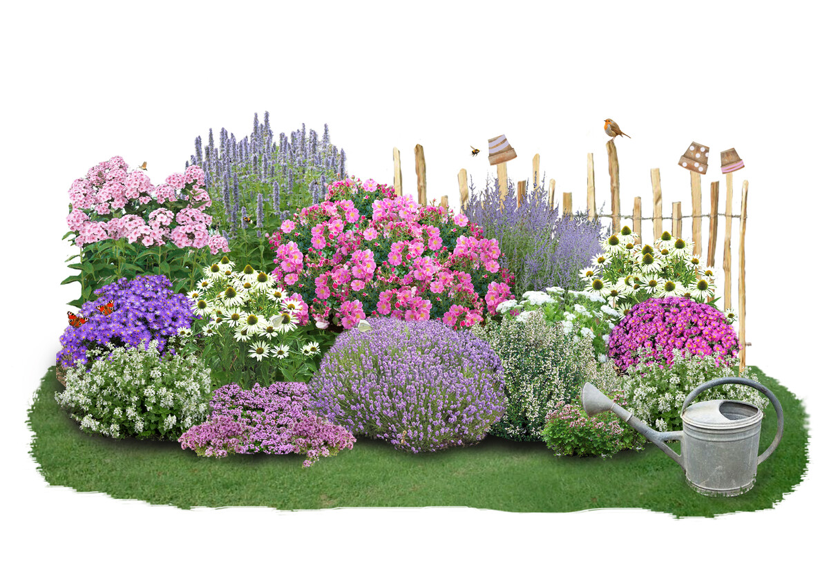 Flower Power und Bienenfreude Neue Beetkollektionen der