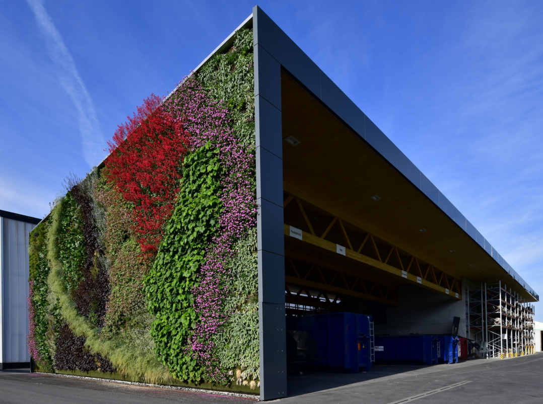 Statt einer intensiven Dachbegrnung haben die Planer eine Living Wall an die Fassade gesetzt.