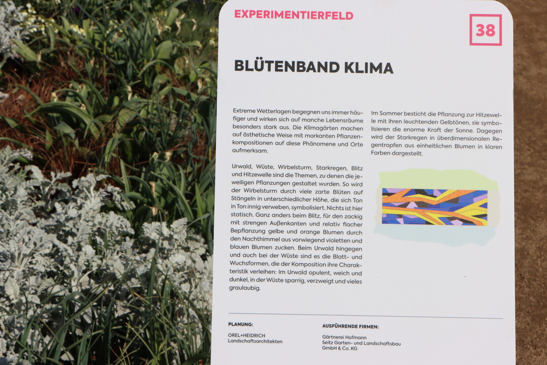 Das Blütenband Klima von Christine Orel macht Wetter mit Pflanzenkompositionen ästhetisch anschaulich.