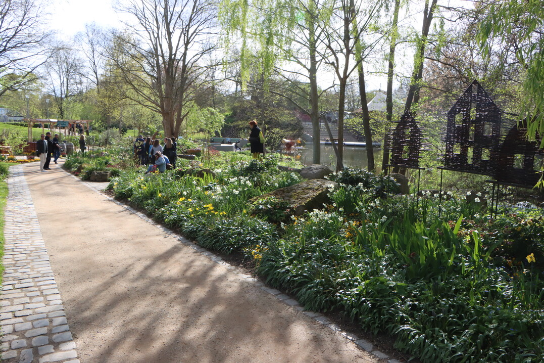 Der Luisenpark mit seinen schattenspendenden alten Gehölzen wird an heißen Tagen im BUGA-Sommer sicherlich besonders gern aufgesucht.
