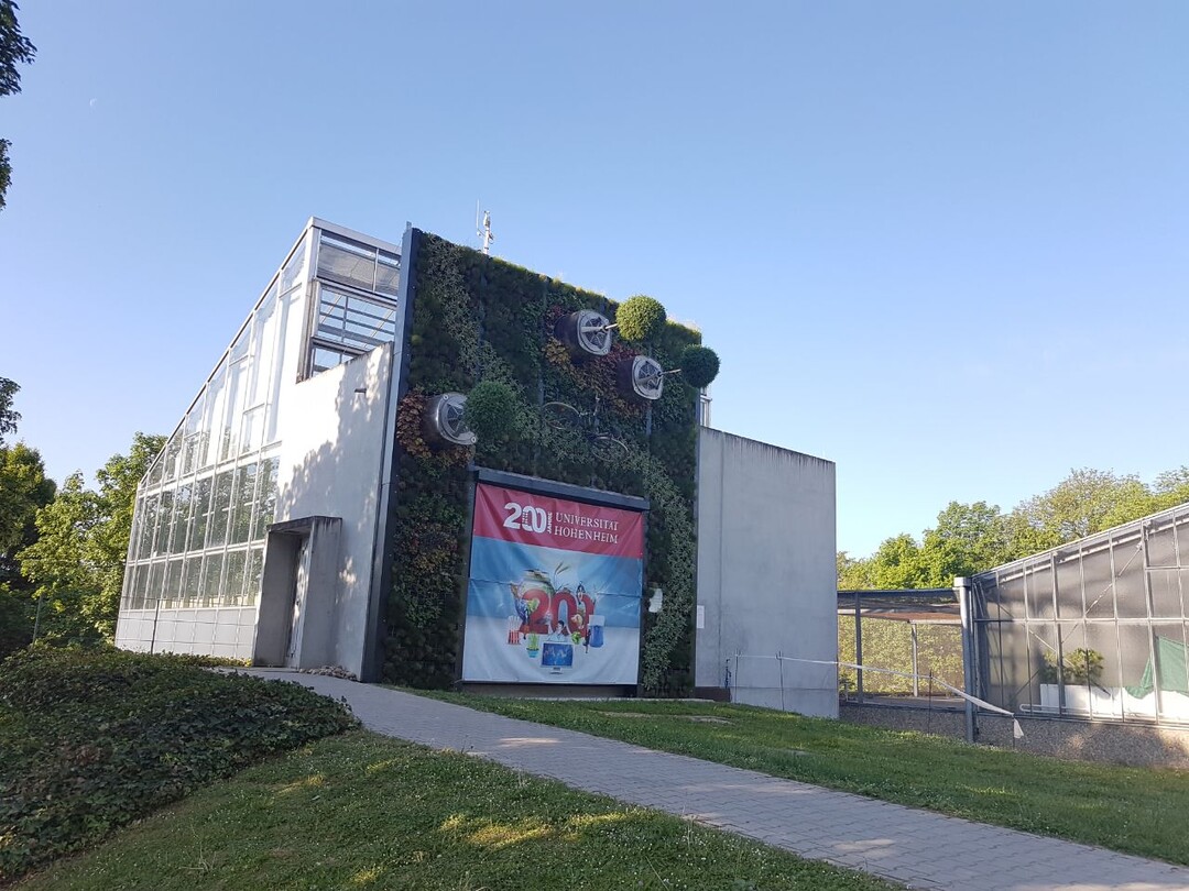 Waagerechte Bäume begrünen die Wand eines Gebäudes der Universität Hohenheim.