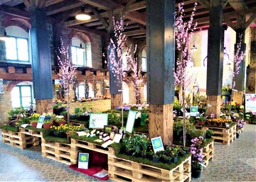 Frhblher-Prsentation im Proviantmagazin in Torgau