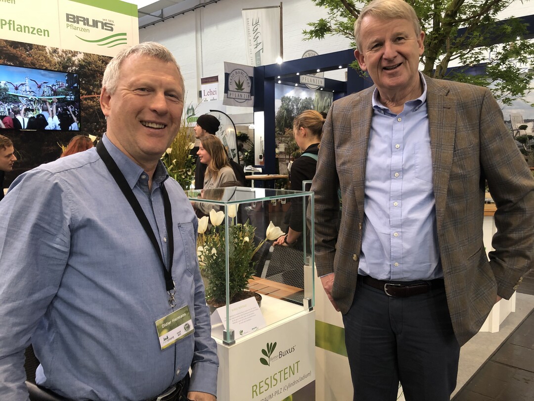 Auf der IPM in Essen wurden die vier resistenten Buchssorten von der Baumschule Bruns prsentiert.