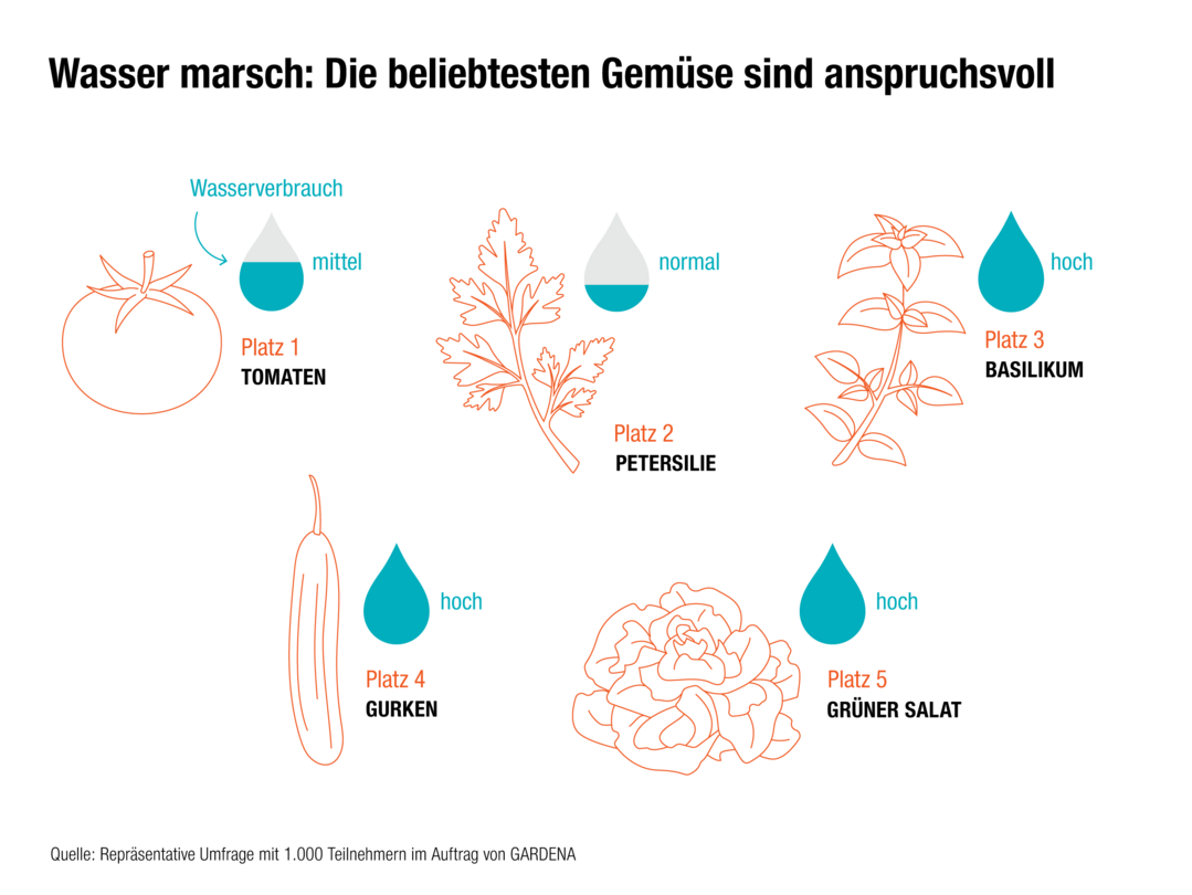 Wie viel Wasser braucht Gemse?