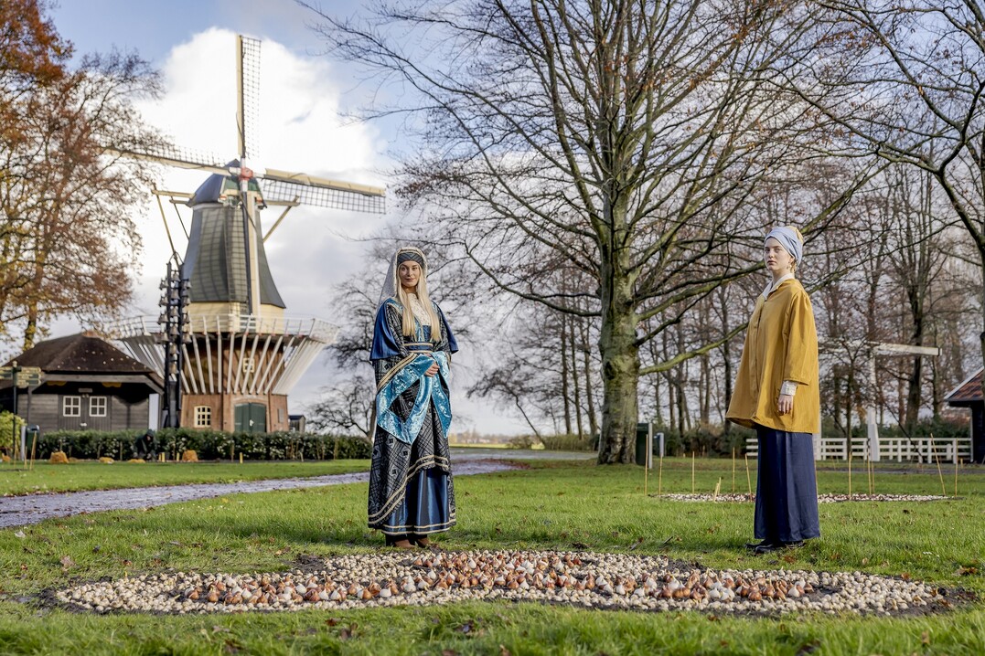 Die Frühjahrsblüte im Keukenhof ist vorbereitet.