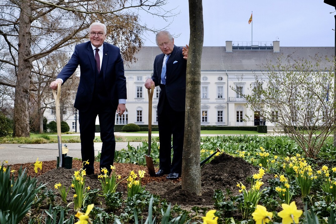 Am 29. März 2023 pflanzten König Charles III. und Bundespräsident Frank-Walter Steinmeier die vom BdB gestiftete Manna-Esche im Park von Schloss Bellevue.