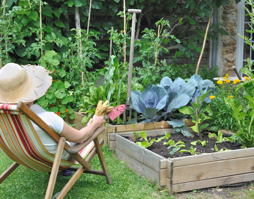 Ausruhen statt Gartenarbeit - das versprechen Abomodelle zur Gartenpflege.