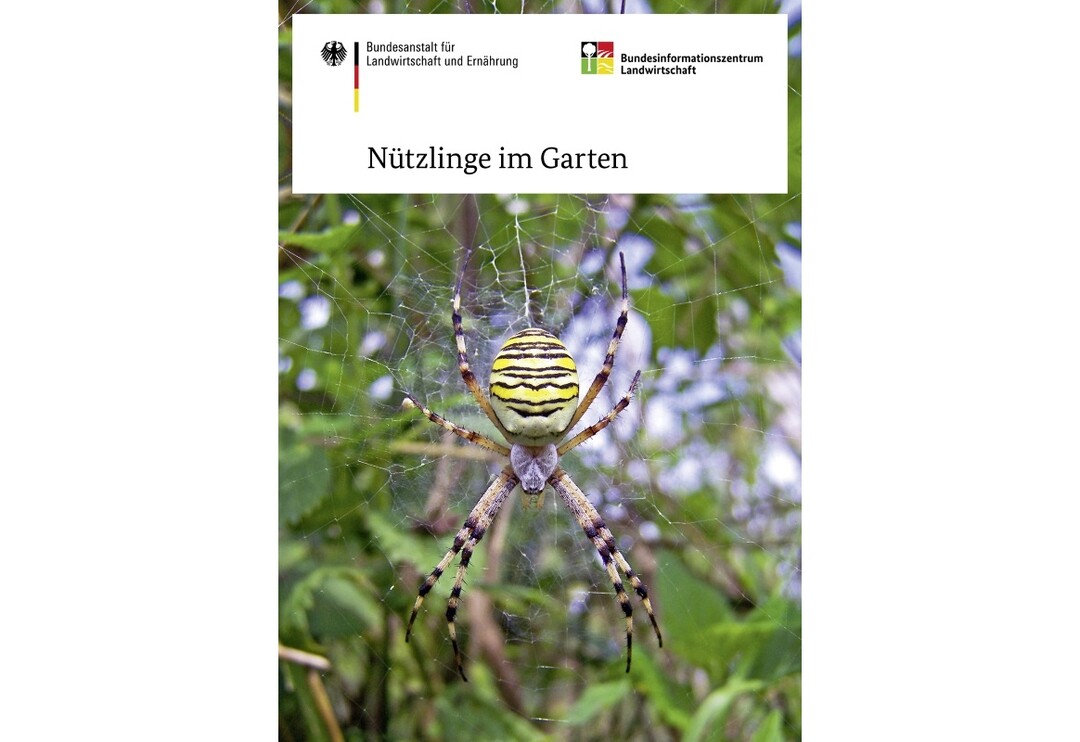 Broschüre "Nützlinge im Garten" zum Gratis-Download
