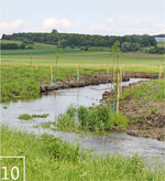 10 Renaturiertes Gewässer