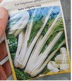 Altes Saatgut aus vergangenen Jahren ob da die Keimfähigkeit noch ausreicht? Tipp: Wenn Sie selber Samen gewinnen möchten, achten Sie auf samenechte Mutterpflanzen.