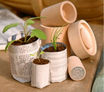 Für große Samen, die einzeln ausgesät werden, sind „Ecopot Maker" eine praktische und ökologische Idee. Mit ihnen können Sie aus einer alten Zeitung Anzuchttöpfchen selbst herstellen, die später mit der Pflanze ins Beet oder ins Pflanzgefäß kommen und dort rasch verrotten.