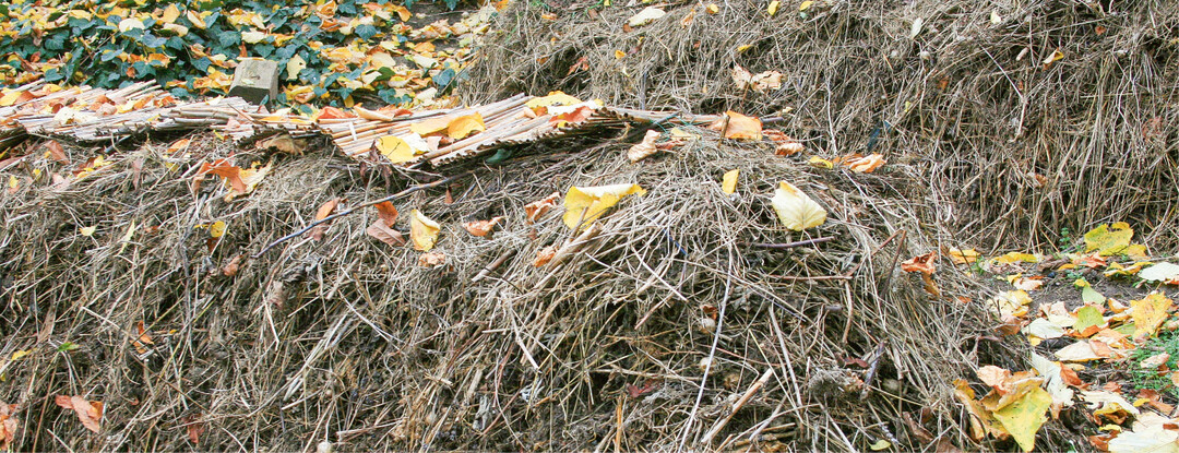 Kompostieren gelingt selbst in einer einfach aufgeschichteten Miete. Sie wird mit Stroh abgedeckt und dann in Ruhe gelassen