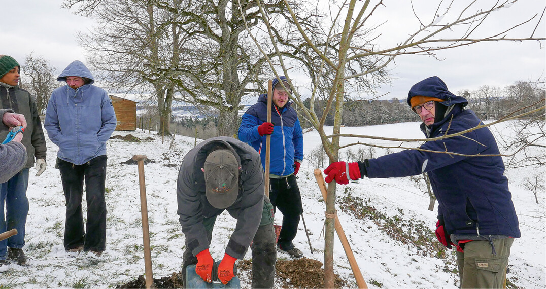 Baumschnittkurse finden in der kalten Jahreszeit statt  da ist wetterangepasste Kleidung eine Voraussetzung f�r die Aufnahmef�higkeit