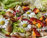 In bunte Salate passen essbare Blüten wie die von Gänseblümchen fast immer
