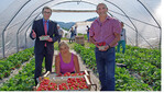 Saisoneröffnung bei Kaiserwetter: (v.l.) Marcelino Expósito, Geschäftsführer OGM Oberkirch; Josefa Marek, Pflückerin; Wendelin Obrecht, Vorstandsvorsitzender OGM Oberkirch.