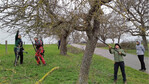 Baumpflegeeinsatz in Kirchheim am Ries