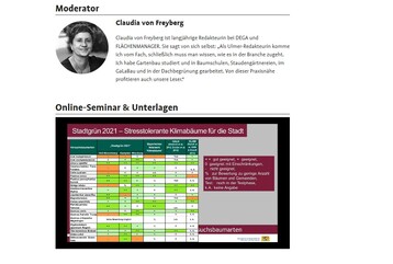 Stadtgrn "21: Straenbume - Auswahl und Pflanzung