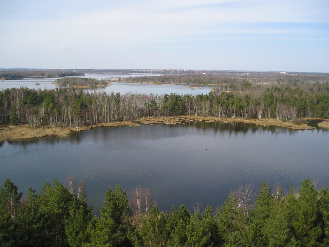 Den Preis für eine für das europäische Kulturerbe bedeutenden Kulturlandschaft gewann die Lausitzer Seenlandschaft. Hier bei Senftenberg, entstanden durch den Braunkohleabbau.