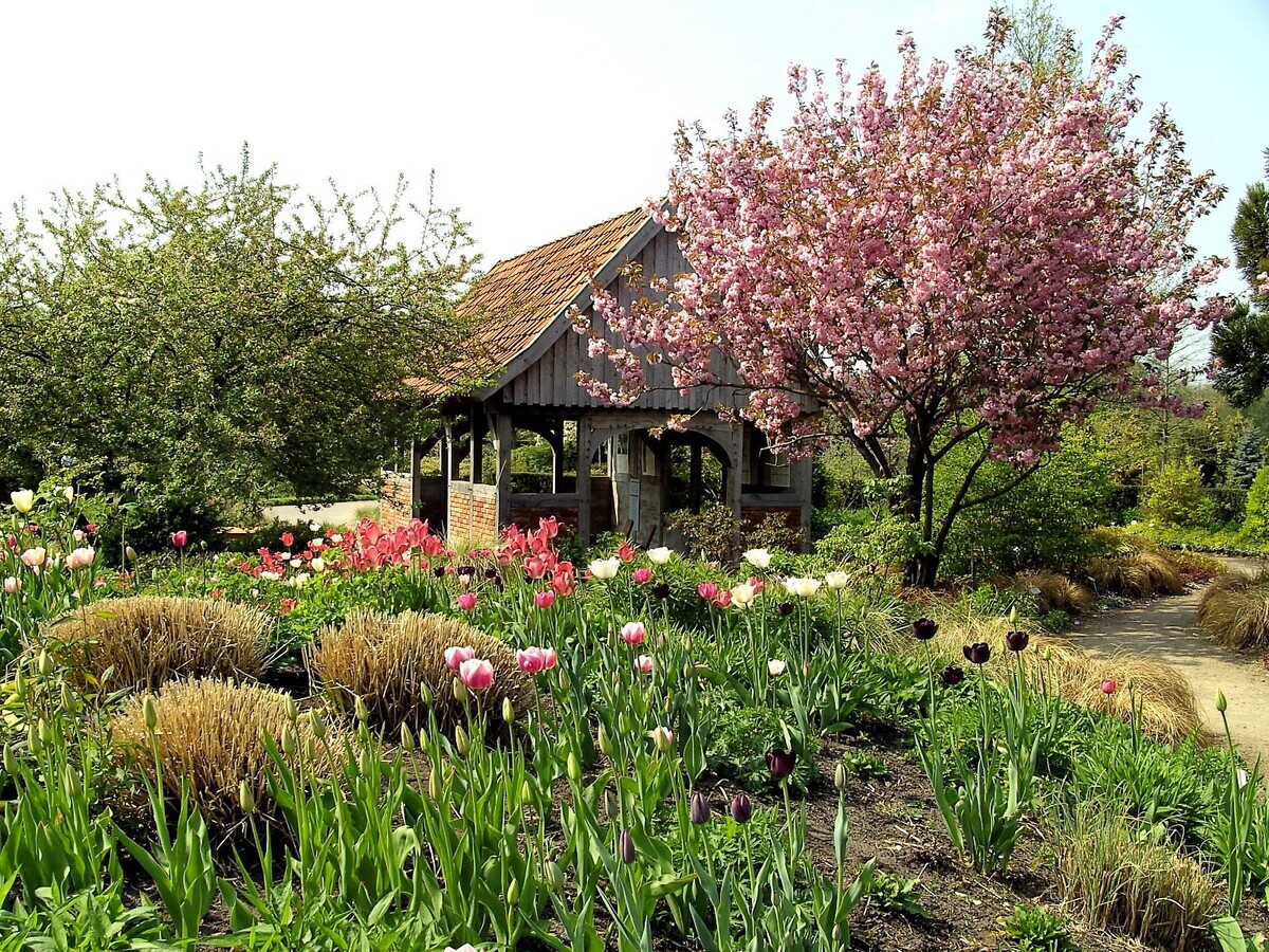 54+ Park Der Garten Programm, You can buy tickets for the park of
