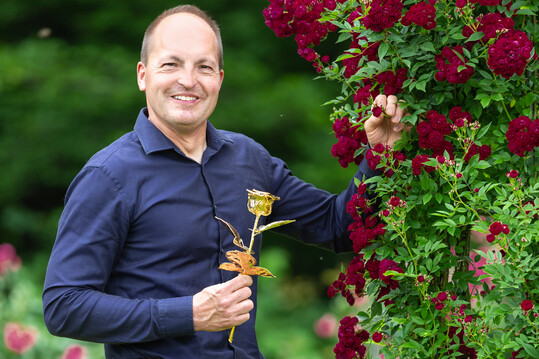 Der Rosenzchter Jens Krger mit seiner Erfolgsrose Perennial Domino (Rosen Tantau)